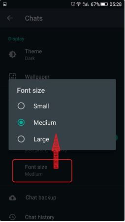 How to change font size in WhatsApp