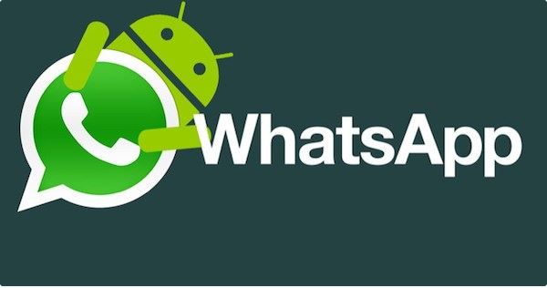 Things to Do If Your WhatsApp Account Gets Hacked