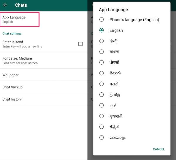 How to change WhatsApp language in the application