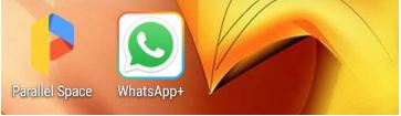 WhatsApp icon inside Parallel Space