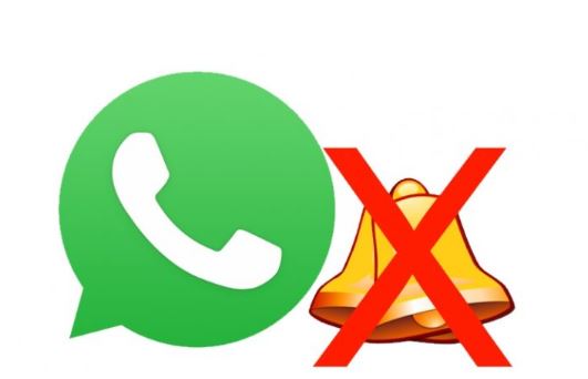 How to mute individual chat, group and status in WhatsApp