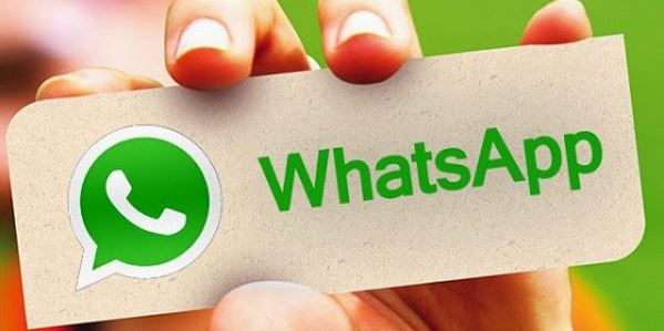 How to see exactly when your message was read on WhatsApp